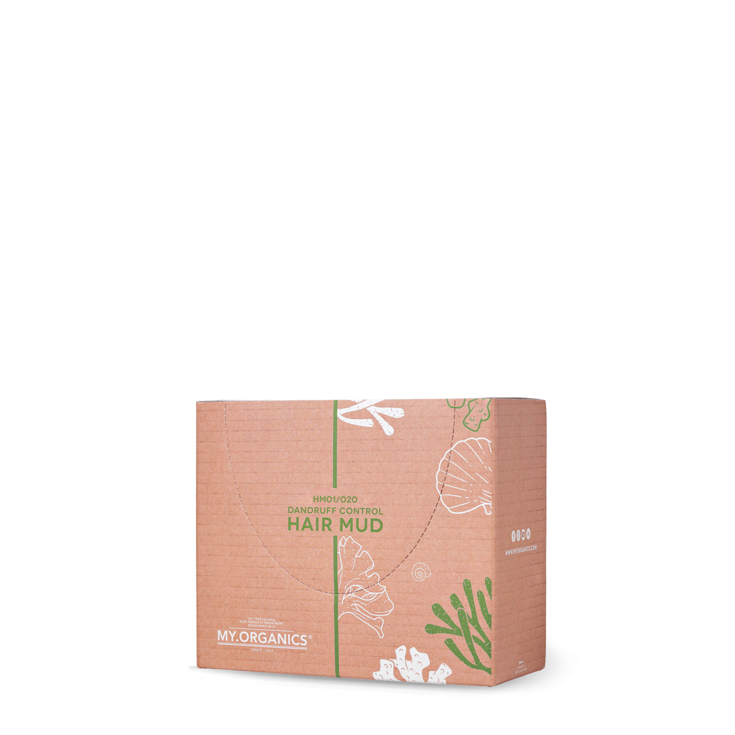 DANDRUFF CONTROL HAIR MUD