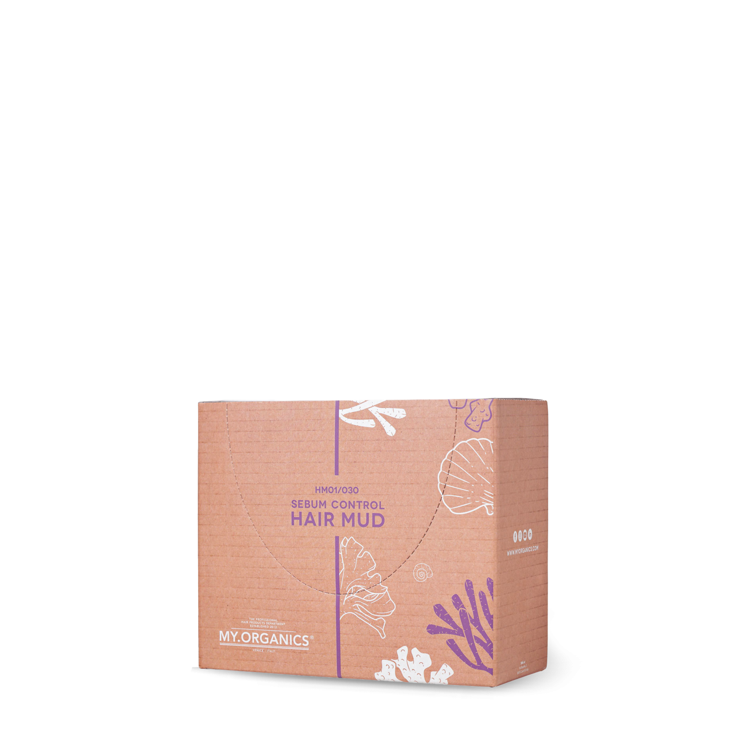 SEBUM CONTROL HAIR MUD