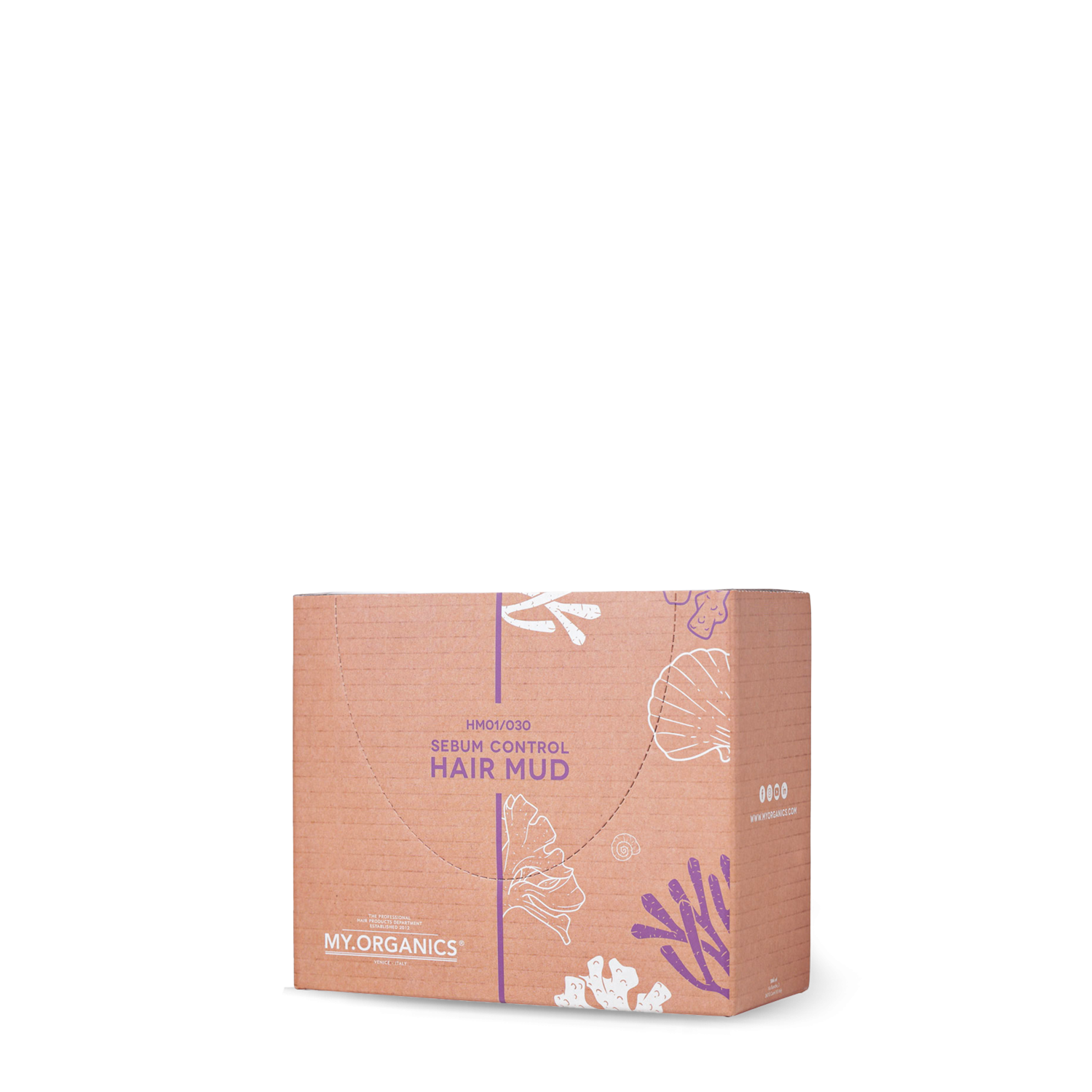 SEBUM CONTROL HAIR MUD