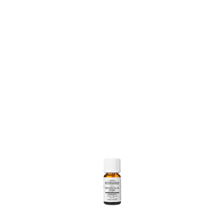 PURE ESSENTIAL OIL GINGER