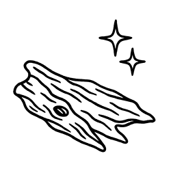 Agarwood (Aquilaria malaccensis)