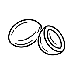 Argan (Argania spinosa)