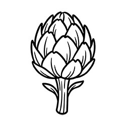 Artichoke (Cynara scolymus)