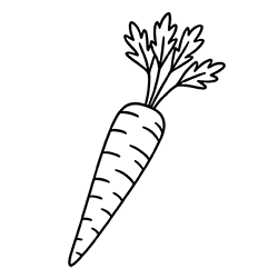 Carrot (Daucus carota)