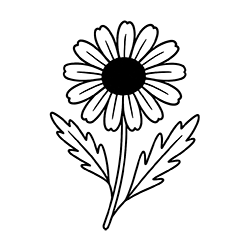 Chamomile (Matricaria chamomilla)