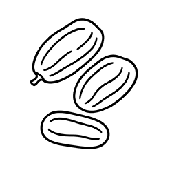 DATTERS (Phoenix dactylifera)