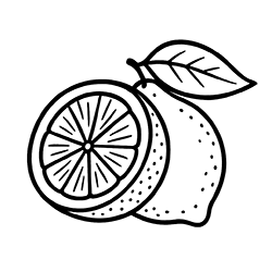 Lemon (Citrus limon)