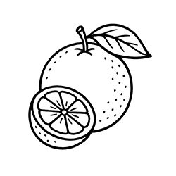 Orange (Citrus sinensis)