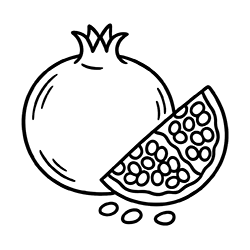 Pomegranate (Punica granatum)