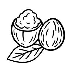 Shea butter (Vitellaria paradoxa)