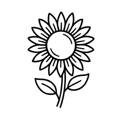 Sunflower (Helianthus annuus)