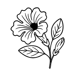 Pau d’Arco (Tabebuia impetiginosa)