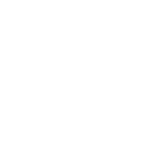 Madeinitaly